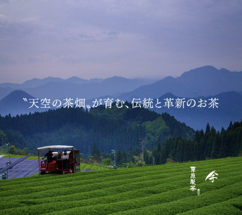 福岡県久留米市の画像2