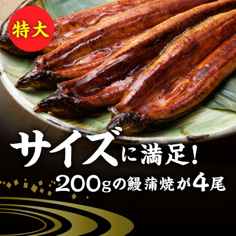 【ふるさと納税】うなぎ 蒲焼 約200g × 4尾 計約800g 独自 秘伝のタレ 山椒 付き 冷凍 うな丼 うな重 ひつまぶし お土産 ギフト 贈り物 国産 食品 食べ物 福岡県 久留米市 お取り寄せ お取り寄せグルメ 送料無料