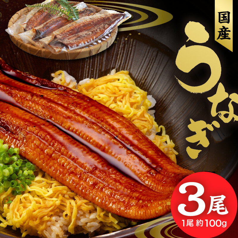 うなぎ 蒲焼 約 100g × 3尾 計約300g 独自 秘伝のタレ 山椒 付き 冷凍 うな丼 うな重 ひつまぶし お土産 ギフト 贈り物 国産 食品 食べ物 福岡県 久留米市 お取り寄せ お取り寄せグルメ 送料無料