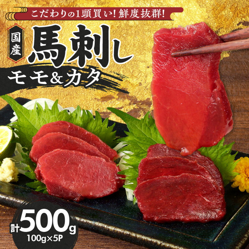 【ふるさと納税】国産 馬刺し 計 500g 100g×5パッ