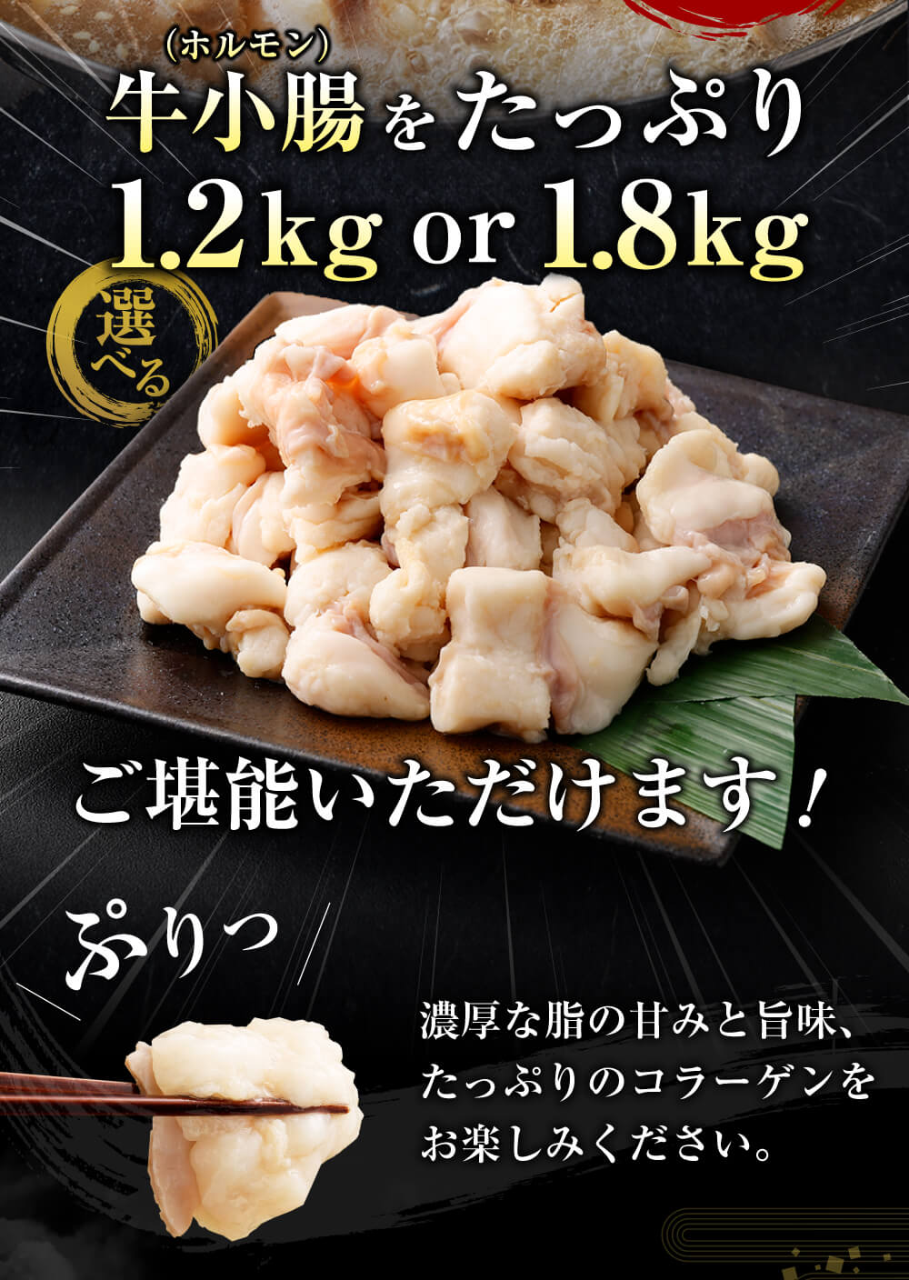 福岡県直方市の画像3