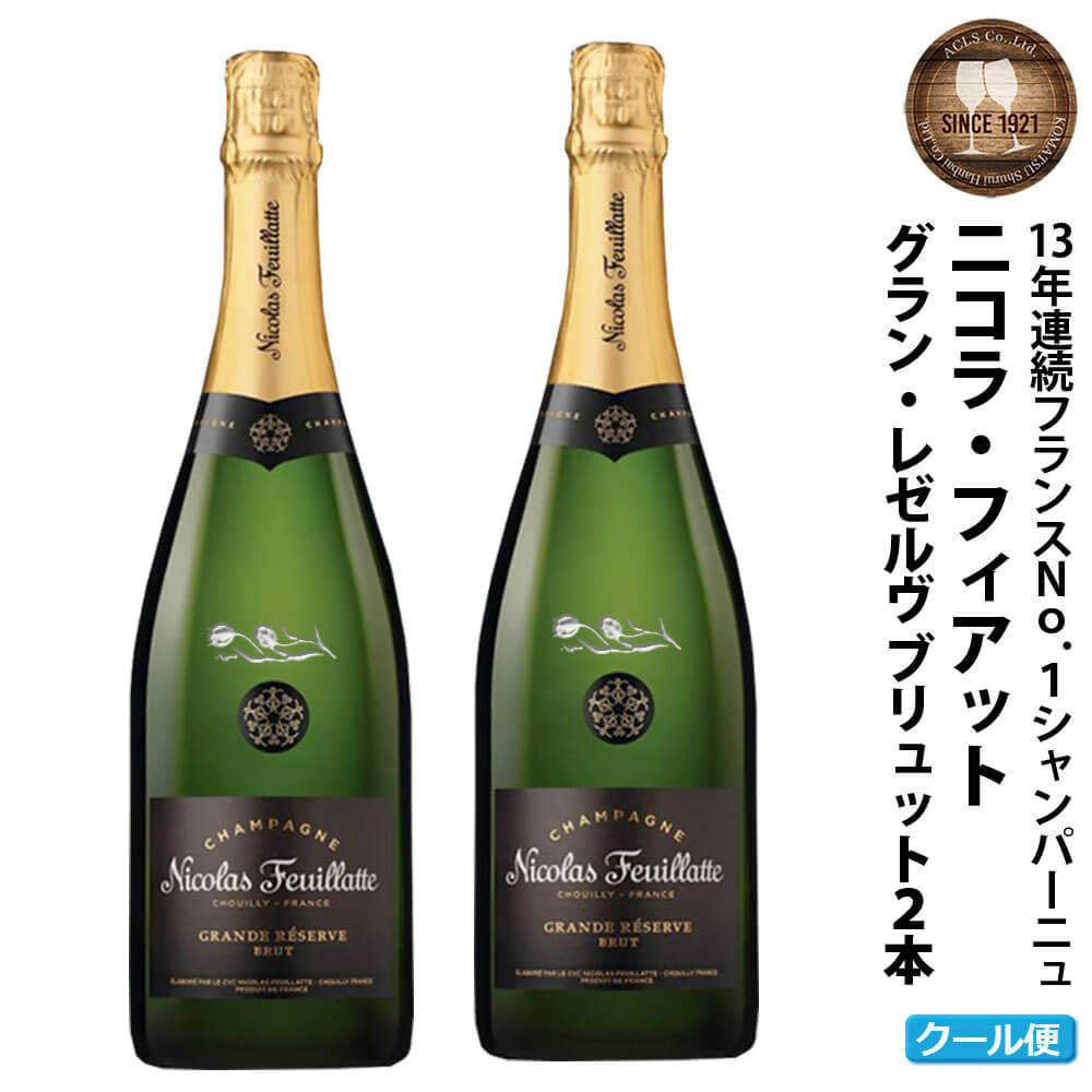 【ふるさと納税】直方市「チューリップ」エッチングボトル シャンパン 2本セット 各750ml 合計2本 シャンパーニュ セット お酒 アルコール プレゼント 冷蔵配送 NC307 送料無料