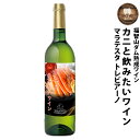 【ふるさと納税】 福智山ダム熟成 カニと飲みたい白ワイン FD332 750ml×1本 イタリア IGT マラテスタ白 白ワイン ワイン お酒 アルコール 福岡...