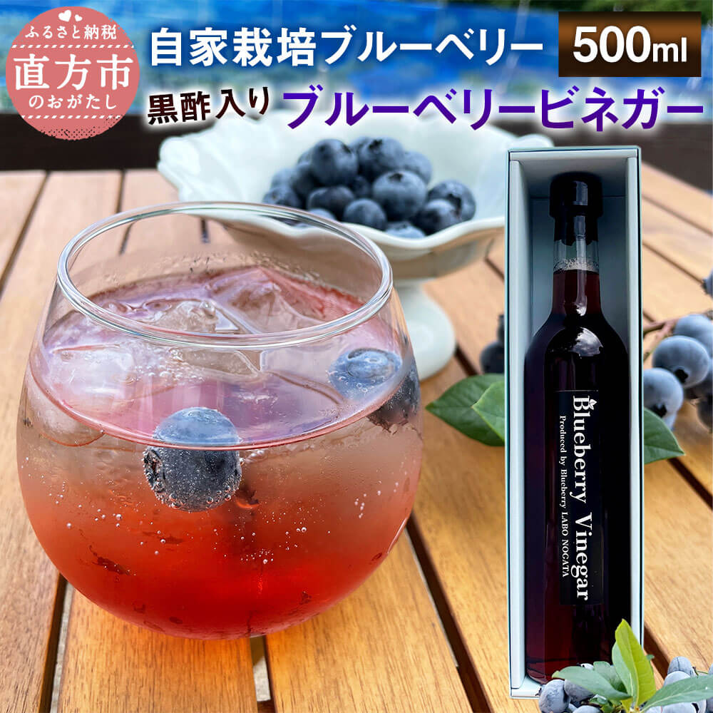 【ふるさと納税】黒酢入り ブルーベリービネガー（ブルーベリー酢） 500ml 1本 添加物 防腐剤 不使用 自家栽培 フルーツ 飲む酢 果実酢 ギフト箱入 贈り物 お取り寄せ 福岡県 直方市 送料無料