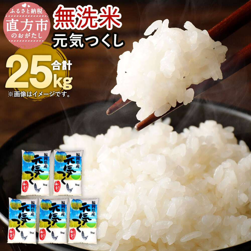 【ふるさと納税】【令和5年産】福岡県産 元気つくし 無洗米 合計25kg 5kg×5袋 お米 精米 米 ご飯 小分け 25キロ 九州産 国産 送料無料