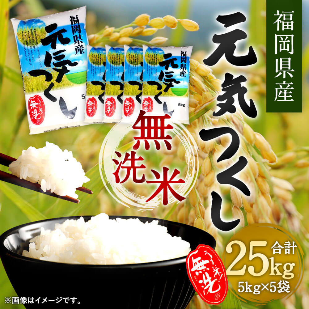 【ふるさと納税】【令和5年産】福岡県産 元気つくし 無洗米 合計25kg 5kg×5袋 お米 精米 米 ご飯 小分け 25キロ 九州産 国産 送料無料