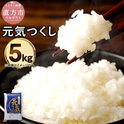 【令和5年産】福岡県産 元気つくし 研ぐお米 5kg お米 精米 米 ご飯 5キロ 九州産 国産 送料無料