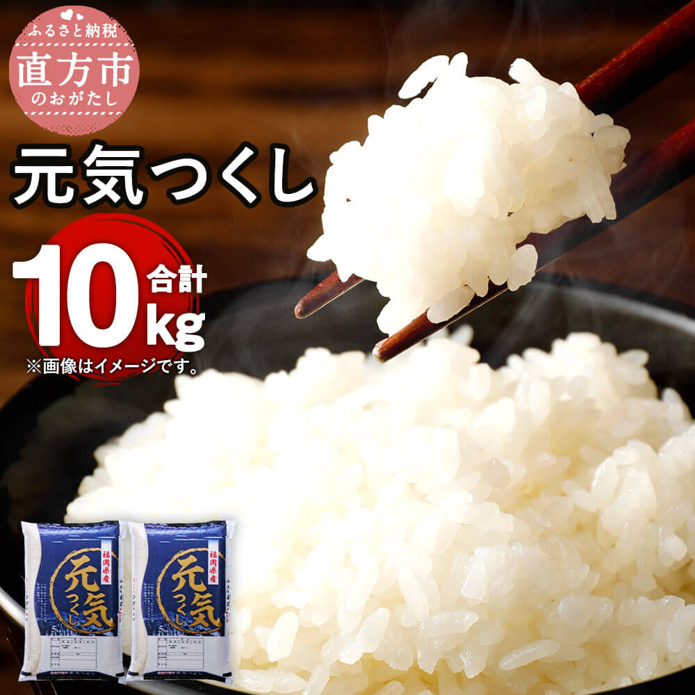 [令和5年産]福岡県産 元気つくし 研ぐお米 合計10kg 5kg×2 お米 精米 米 ご飯 10キロ 九州産 国産 送料無料