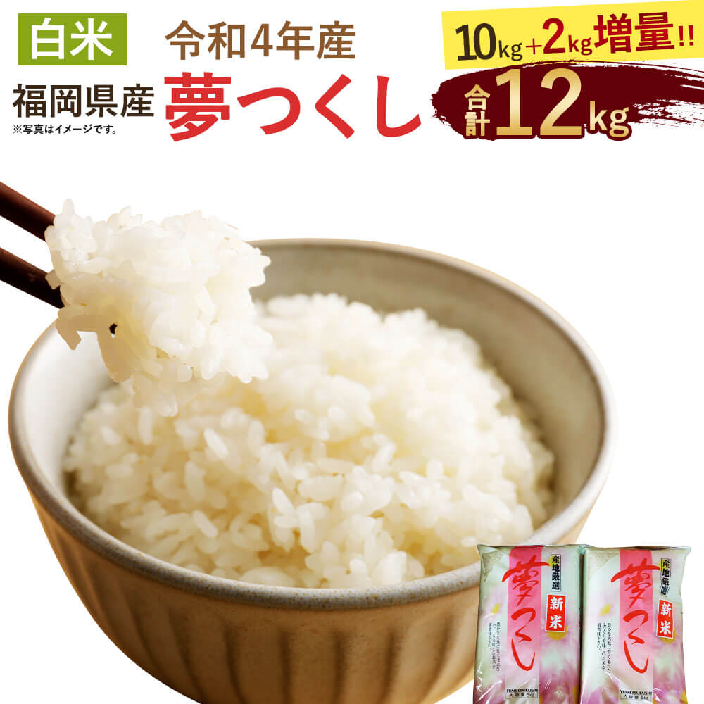 【ふるさと納税】令和4年産【新米】 福岡県産 夢つくし 10kg+2kg増量!! 【合計12kg】5kg×2袋 2kg×1袋 白米 お米 精米 国産 九州産 直方市 送料無料