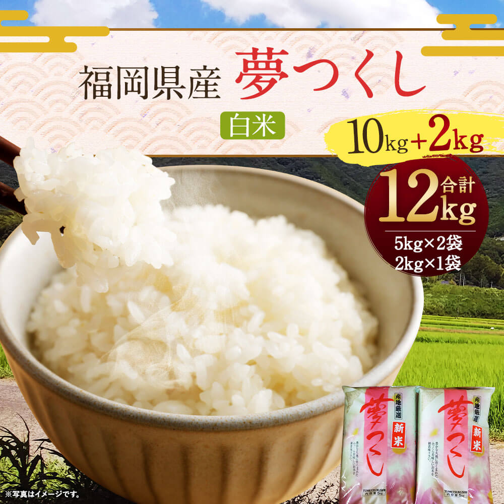 【ふるさと納税】令和5年産 福岡県産 夢つくし 10kg+2kg!! 【合計12kg】5kg×2袋 2kg×1袋 白米 お米 ご飯 精米 国産 九州産 直方市 送料無料