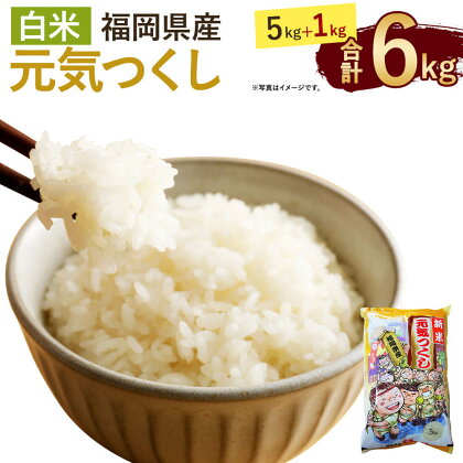 令和5年産 福岡県産 元気つくし 5kg +1kg!! 【合計6kg】 5kg×1袋 1kg×1袋 白米 お米 精米 ご飯 国産 九州産 直方市 送料無料