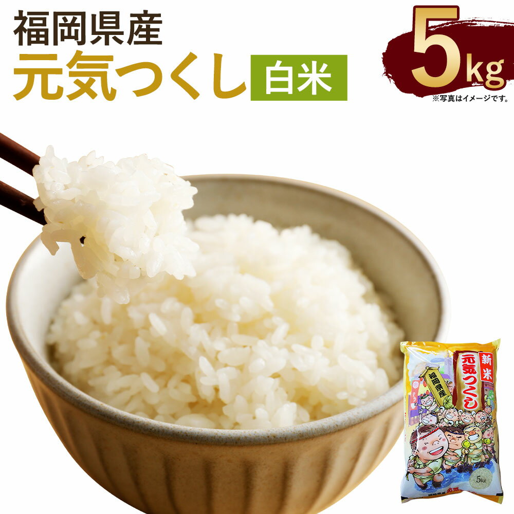 【ふるさと納税】令和7年産 福岡県産 元気つくし 5kg 【合計5kg】 5kg×1袋 白米 お米 精米 ご飯 国産 九州産 直方市 送料無料