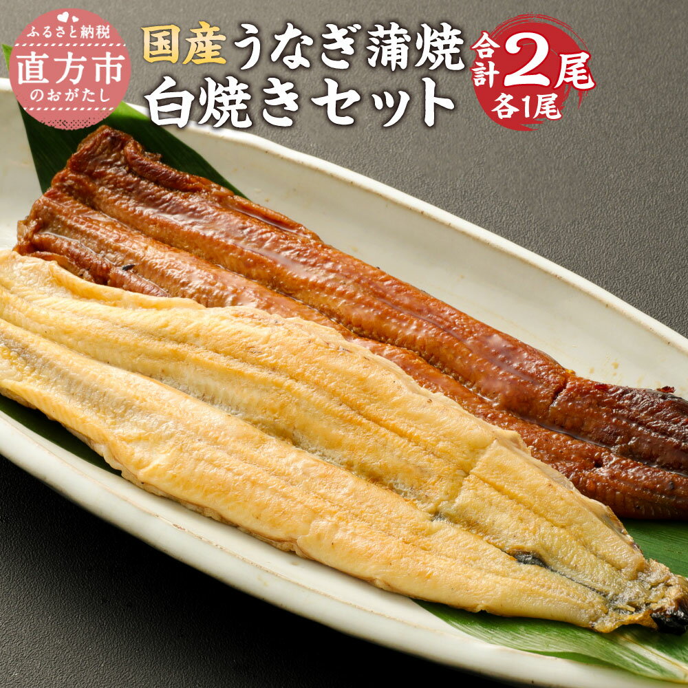 【ふるさと納税】鰻 蒲焼 白焼き セット 合計 2尾 約15