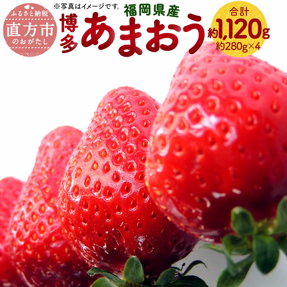 【ふるさと納税】【予約】福岡県産 博多あまおう 約1.12kg 約280g×4パック入り 【2025年1月下旬～3月下旬発送予定】 1120g いちご 苺 イチゴ フルーツ 果物 九州 冷蔵 送料無料