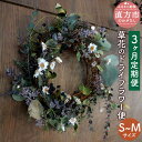 【ふるさと納税】【3ヶ月定期便】草花のドライフラワー便 S～Mサイズ 花 草花 花束 フラワー ナチュラル 詰め合わせ インテリア 植物 草花ノ香り 国産 福岡県 直方市 送料無料