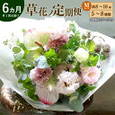 【ふるさと納税】草花ノ定期便 Mサイズ 6ヵ月 月に1回 全