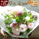 【ふるさと納税】<選べる 回数>草花ノ定期便 Mサイズ 3ヶ月/6ヵ月/11ヶ月 月に1回 定期便 5〜8種類 約8〜10本 季節の草花 花 アレンジメント 旬...