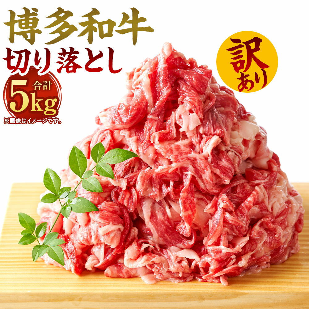 訳あり!博多和牛 切り落とし 牛肩・バラ 合計5kg 500g×10パック 部位はお任せ 黒毛和牛 国産牛 牛肉 お肉 肉 お取り寄せ 小分け 国産 九州産 福岡県産 冷凍 送料無料