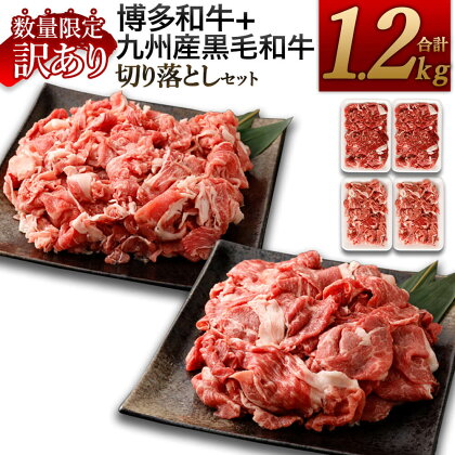 【数量限定 訳あり】博多和牛＋九州産黒毛和牛 切り落とし 合計1.2kg 各600g(300g×2) お肉 牛肉 切落し 黒毛和牛 小分け 九州産 福岡県産 国産 お取り寄せ 冷凍 送料無料