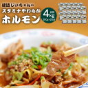 【ふるさと納税】健造じいちゃんのスタミナやわらかホルモン 合計4kg 200g×20袋 ホルモン 特製ダレ 味噌 国産 九州産 簡単 調理 おつま..