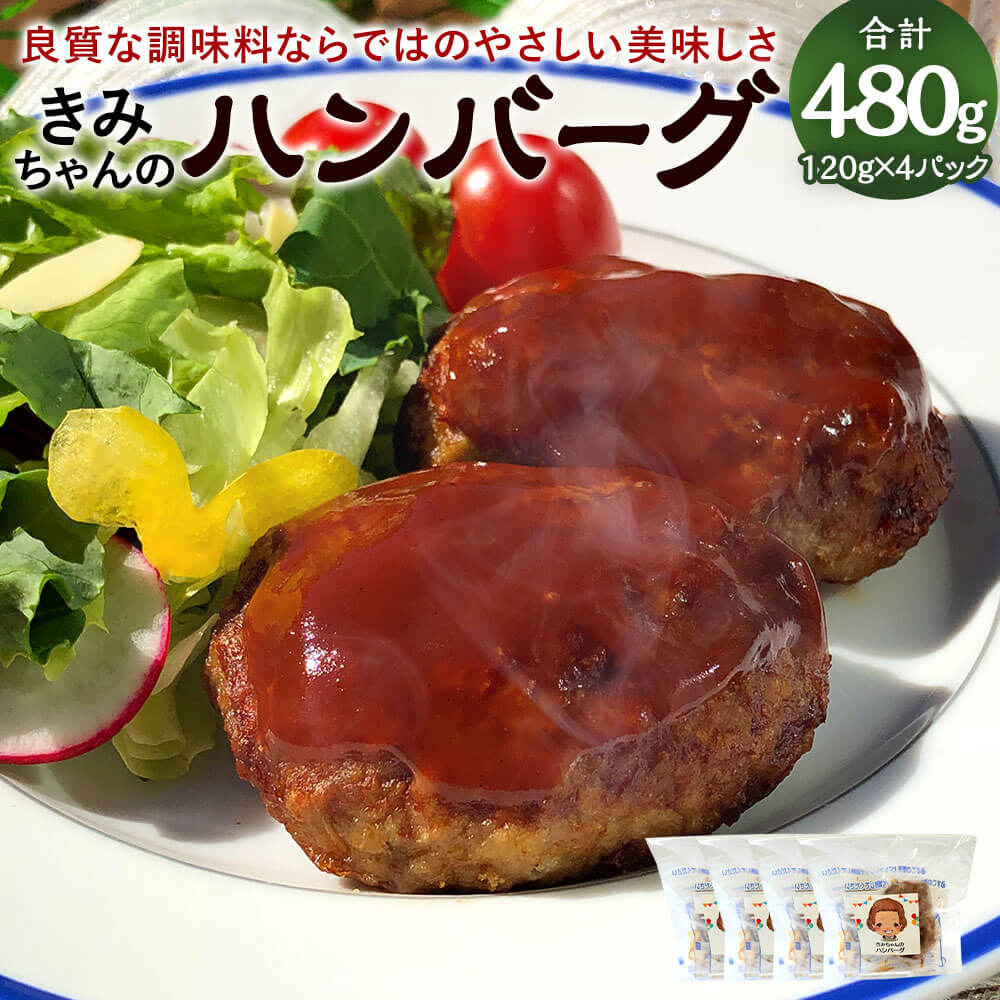 子どもが大好き!きみちゃんのハンバーグ 120g×4パック 合計480g ハンバーグ 冷凍ハンバーグ レンジ 簡単 惣菜 おかず 弁当 冷凍 送料無料