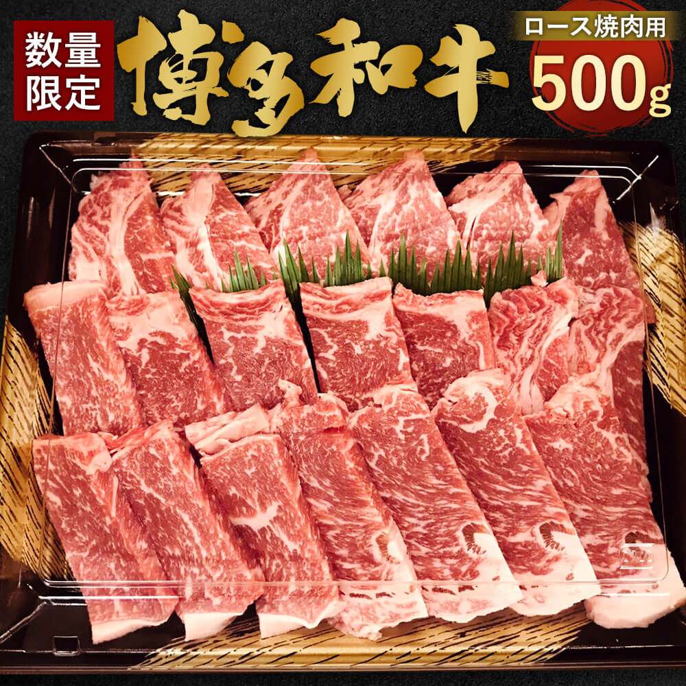 [数量限定 博多和牛]ロース 焼肉用 500g 九州産 福岡県産 リブロース サーロイン お取り寄せ 黒毛和種 和牛 牛肉 国産 BBQ バーベキュー 焼き肉 やき肉 お肉 肉 冷凍 送料無料