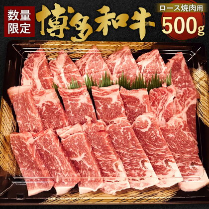 【数量限定 博多和牛】ロース 焼肉用 500g 九州産 福岡県産 リブロース サーロイン お取り寄せ 黒毛和種 和牛 牛肉 国産 BBQ バーベキュー 焼き肉 やき肉 お肉 肉 冷凍 送料無料