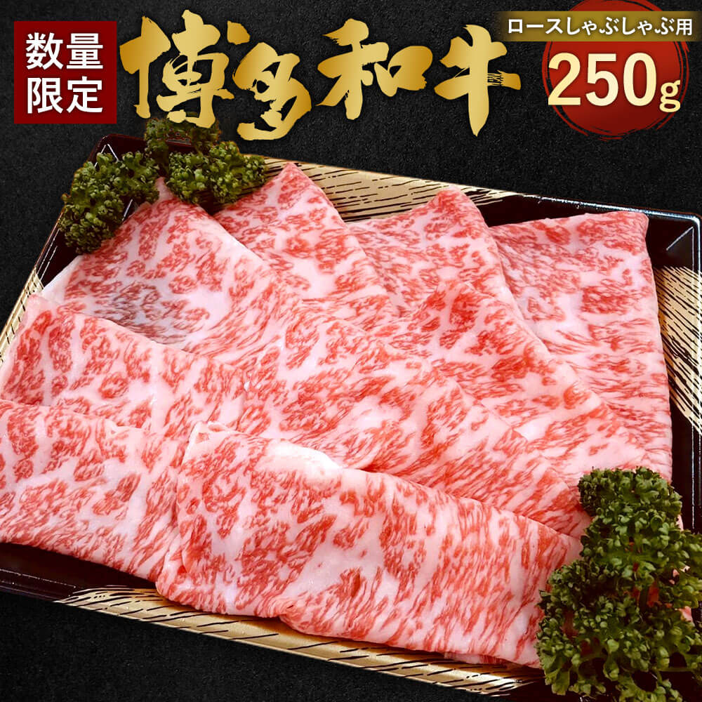 【ふるさと納税】【数量限定 博多和牛】ロース しゃぶしゃぶ用 250g 九州産 福岡県産 すき焼き しゃぶ...