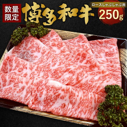 【数量限定 博多和牛】ロース しゃぶしゃぶ用 250g 九州産 福岡県産 すき焼き しゃぶしゃぶ 焼きしゃぶ リブロース サーロイン お取り寄せ 黒毛和種 和牛 牛肉 国産 お肉 肉 冷凍 送料無料