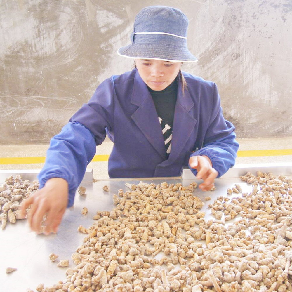 福岡県直方市の画像3