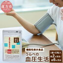 【ふるさと納税】《機能性表示食品》うらべの血圧生活 62粒 2袋/6袋 セット GABA 配合 ギャバ 1袋 約1ヶ月分 200mg×62粒 サプリメント 送料...
