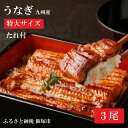 【ふるさと納税】【A5-001】魚市場厳選 九州産うなぎ蒲焼...