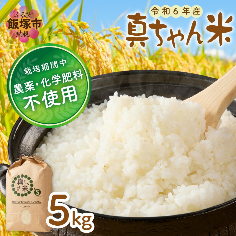 ★レビューキャンペーン実施中★[令和6年産]農薬・化学肥料不使用 真ちゃん米 5kg 栽培期間中農薬不使用 栽培期間中化学肥料不使用 食品 米類 米 お米 白米 精米 5キロ 安心 安全 国産 おにぎり ふるさと納税 米[B6-024][20250303_2レビューCP]
