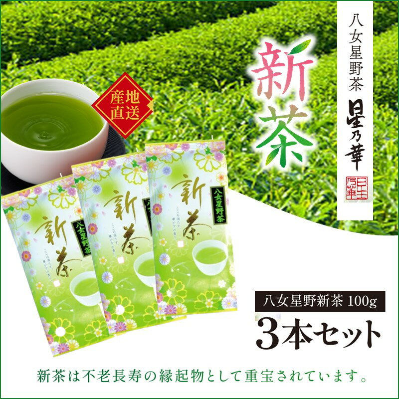 新茶 八女星野茶 100g 3本詰め＜先行予約＞ 新茶 日本茶 緑茶 八女茶 八女星野茶 贈答 初物 旬 ふるさと納税 茶 【A2-132】