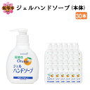 【ふるさと納税】ジェルハンドソープ 本体 200ml×30本【B-179】