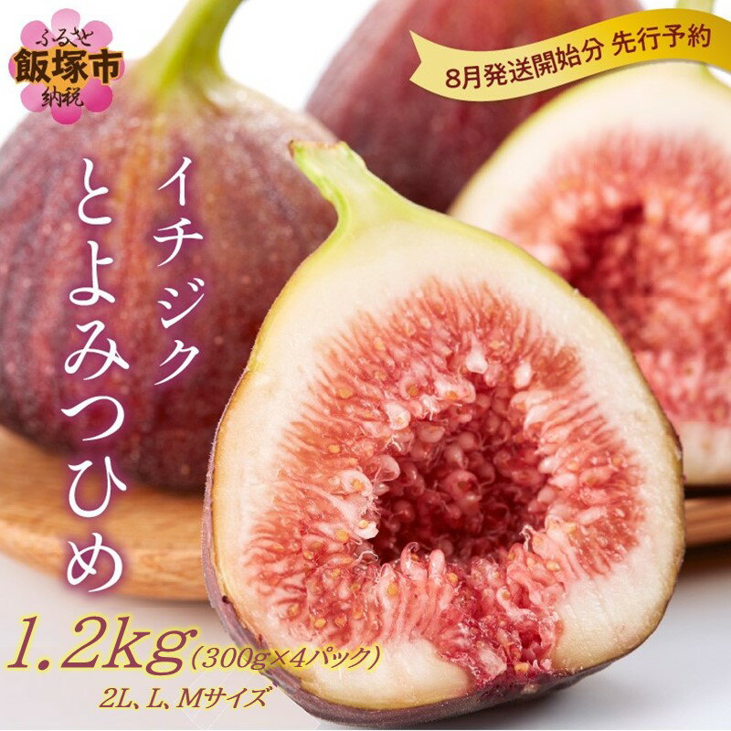 【ふるさと納税】とよみつひめ（イチジク）＜8月発送開始分先行予約＞フルーツ 果物 いちじく 期間限定 先行予約 くだもの 新鮮 クール便 冷蔵 旬 福岡 福岡県 飯塚市 飯塚 ジューシー 果実 フレッシュ 送料無料【Z8-012】のサムネイル