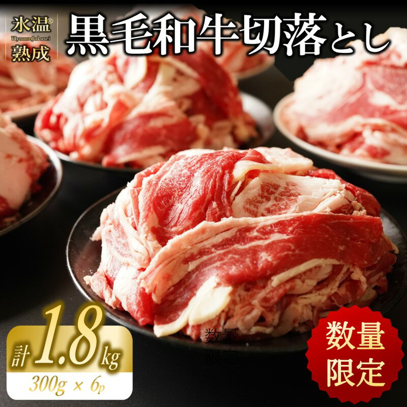 【ふるさと納税】【飯塚熟成牛】黒毛和牛切落し1.8kg（300gx6p） 肉 牛肉 熟成 熟成牛 熟成肉 飯塚市 福岡 黒毛和牛 切り落とし 大容量 小分け 使いやすい バラ【A2-094】のサムネイル