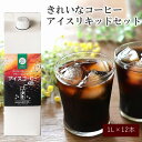 【ふるさと納税】★特許製法★きれいなコーヒーアイスリキッドセット12本 アイスコーヒー コーヒー 珈琲 無糖 ブラック ストレート 送料無料 福岡 飯塚市 飯塚 ギフト プレゼント おうち時間 【C8-013】