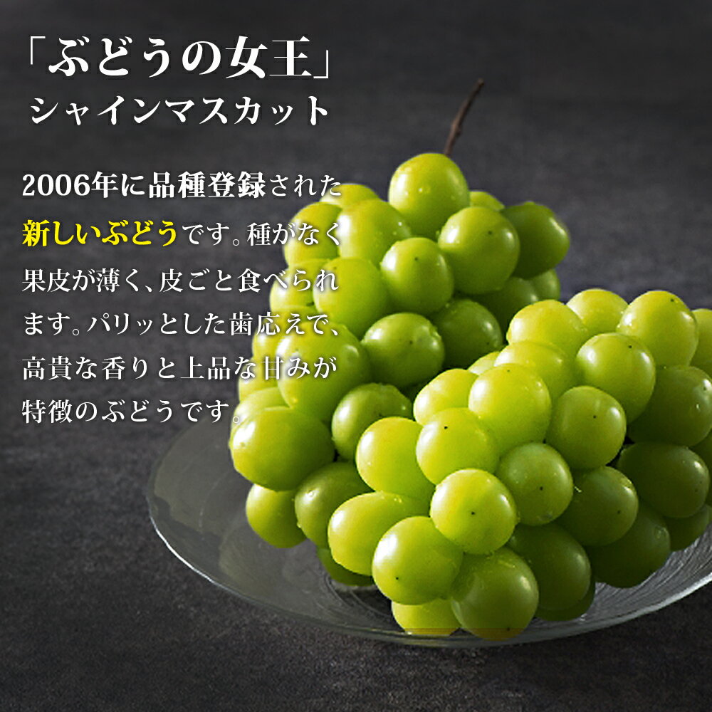 【ふるさと納税】シャインマスカット2房(約1kg)＜2026年8月中旬から発送開始分先行予約＞【A7-070】