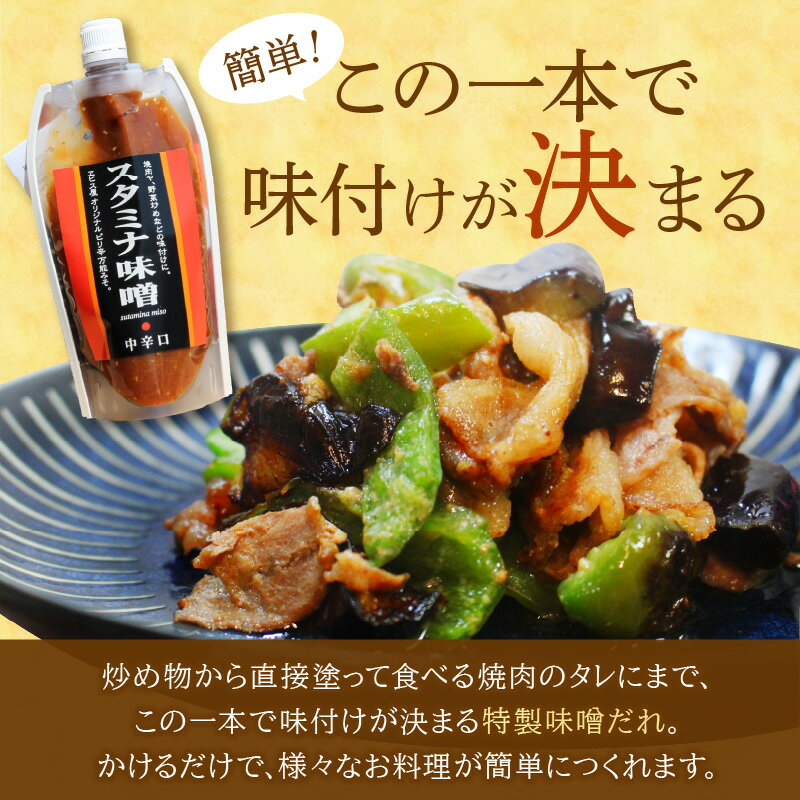 【ふるさと納税】味付け簡単！特製味噌ダレ「スタミナ味噌」【6カ月定期便】 調味料 味噌 みそ タレ たれ 味噌だれ 定期便 6回 スタミナ 焼肉のタレ 野菜炒め 回鍋肉 ホルモン にんにく 飯塚市 【A5-246】