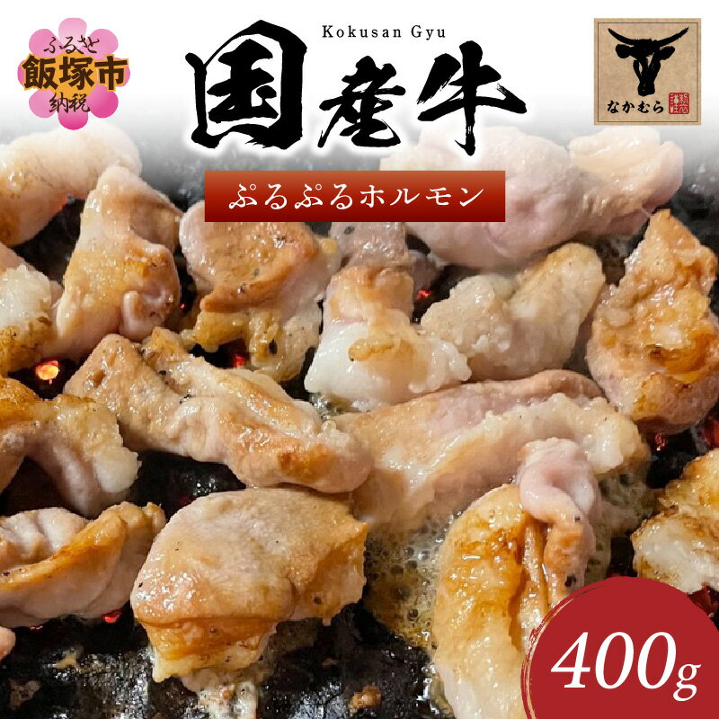 【ふるさと納税】＜なかむら謹製＞ぷるぷるホルモン（国産牛） ホルモン 国産ホルモン 国産牛 もつ 国産牛ホルモン ホルモン焼 バーベキュー 【A-797】のサムネイル