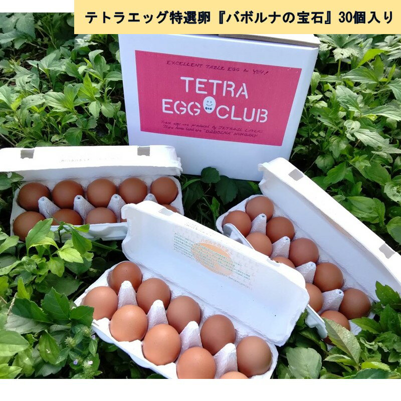テトラエッグ特選卵『バボルナの宝石』30個入 たまご 卵 玉子 特選卵 テトラエッグ 30個 