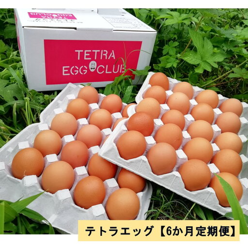 【ふるさと納税】テトラエッグ(40個/月)【6カ月定期便】 たまご 卵 玉子 濃厚 TKG たまごかけ 定期便 定期 6回 飯塚市 【F8-004】 【ふるさと納税】テトラエッグ(40個/月)【6カ月定期便】 たまご 卵 玉子 濃厚 TKG たまごかけ 定期便 定期 6回 飯塚市 【F8-004】