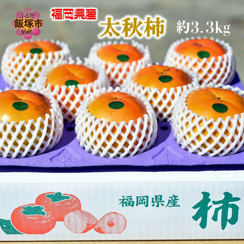 【ふるさと納税】福岡県産 太秋柿 約3.3Kg＜先行予約＞ 果物 フルーツ 柿 かき 高級柿 甘い 先行予約 期間限定 数量限定【A2-032】のサムネイル