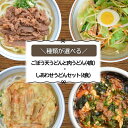 【ふるさと納税】\種類が選べる!/うどんそば処 あぐんちゃ冷凍うどん4食セット 麺類 ゴボウ天 肉 チャンポン ユッケジャン 冷凍 冷凍うどん だし付き ふるさ...