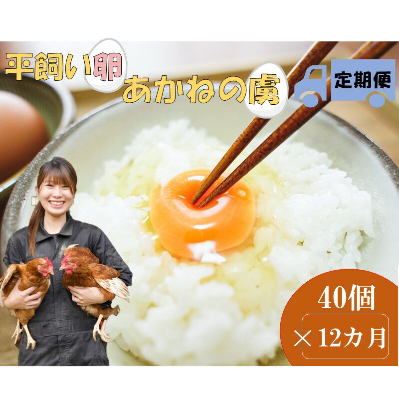 【ふるさと納税】〈平飼い卵〉あかねの虜（40個/月）【12カ月定期便】たまご 定期 12ヶ月 平飼い 福岡 TKG たまごかけ 毎月 【J3-014】のサムネイル