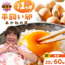 【ふるさと納税】★レビューキャンペーン実施中★\個数が選べる!/〈平飼い卵〉あかねの虜 20個~ 飯塚市 たまご 20個 30個 40個 60個 平飼い 福岡 TKG たまごかけ 卵 玉子 卵焼き オムレツ 卵かけごはん 卵料理 生卵 鶏卵 ふるさと納税 卵【20250303_2レビューCP】