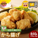 【ふるさと納税】レンジ調理!はかた地どり 地鶏唐揚げ【A5-499】