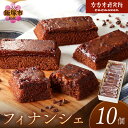 【ふるさと納税】カカオ研究所 フィナンシェ10個セット 【B-180】