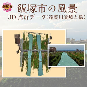 【ふるさと納税】【3D点群データ】飯塚市 風景 街並みデータ (遠賀川流域と橋) 【J5-016】